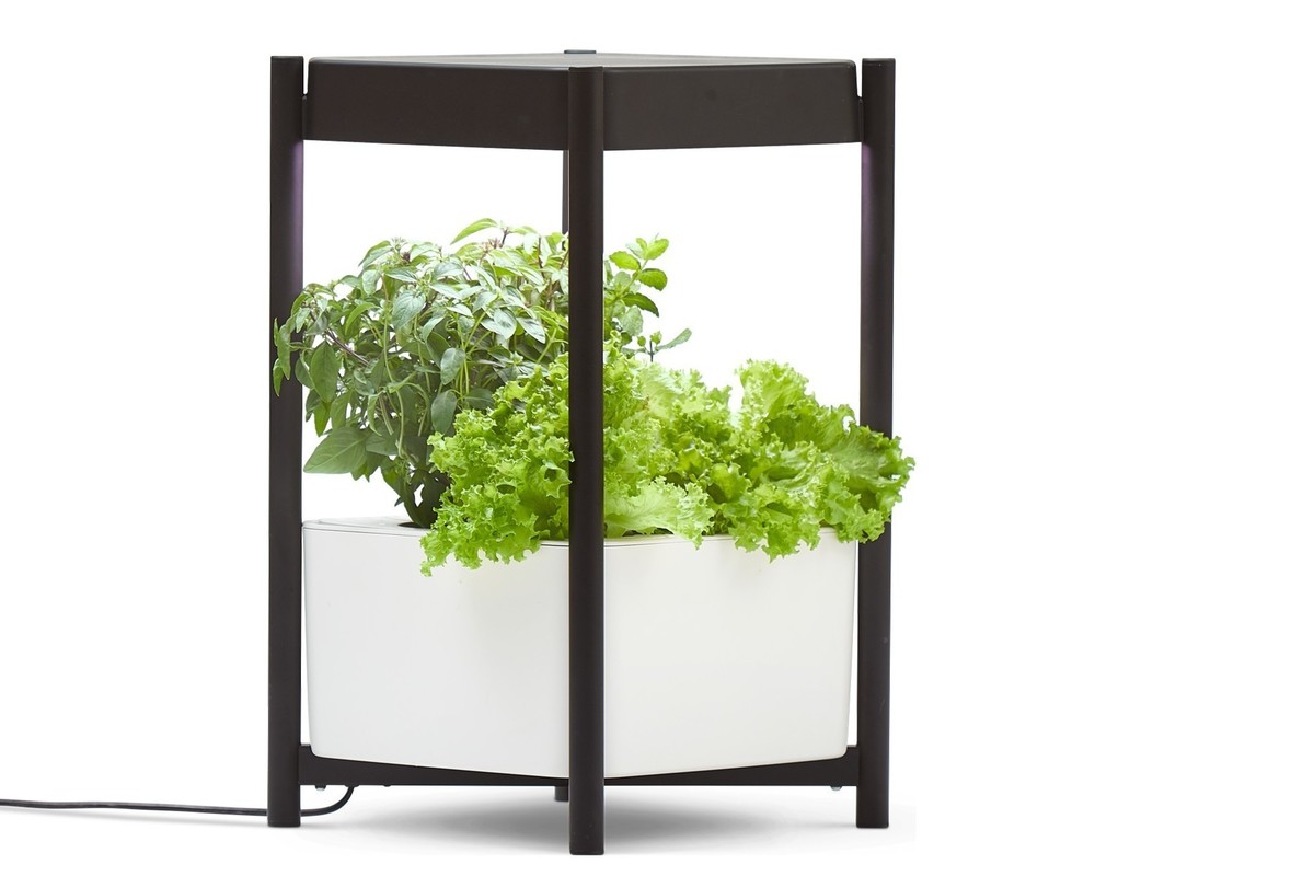 Miracle-Gro Twelve Indoor Growing System review: A nearly foolproof means to fresh herbs and lettuce year 'round